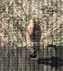 1646079615191.png