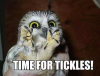 tickles.png