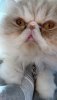 IMG_4339.jpeg