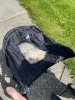 IMG_4361.jpeg