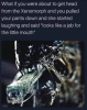 1685933595026.png