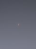 IMG_5465.jpeg