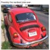 VW bug with license plate FEATURE.jpeg