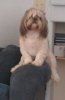 IMAG0259.jpg