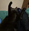 20241204_032558.jpg