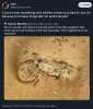 Wildfire smoke contains an entire bicycle.png