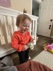 IMG_0462.jpeg
