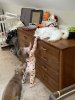 IMG_0623.jpeg