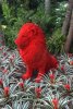 lego lion 2025-03-24-01.jpg