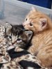 Cuddles.jpg