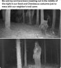 Star Wars fans are messing with trail cams.jpeg
