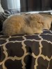 IMG_1365.jpeg